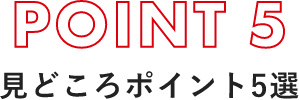 見どころポイント5選